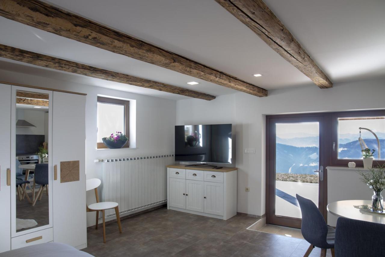Studio 1111 With Sauna & Hot Tub Dravograd ภายนอก รูปภาพ