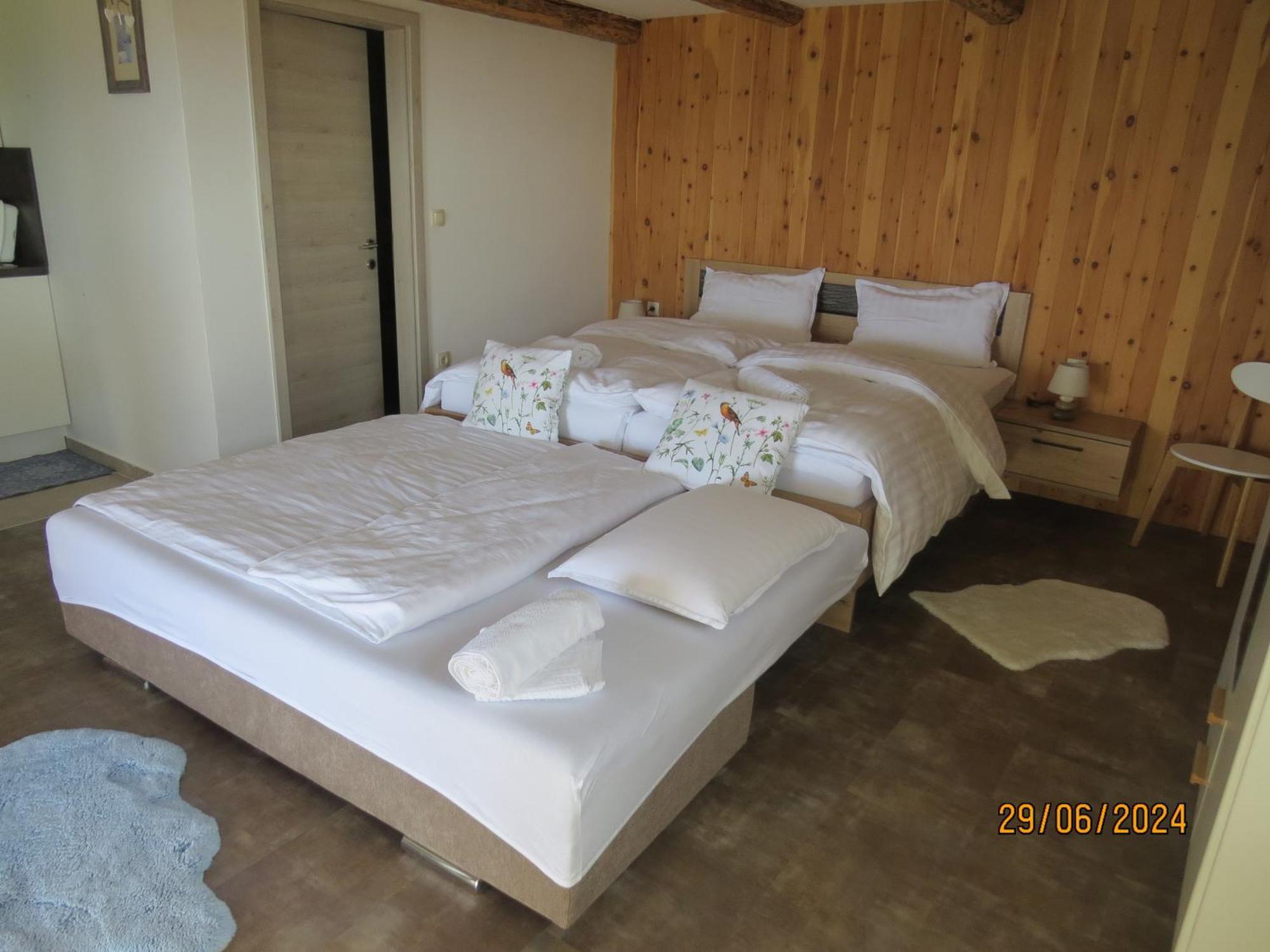 Studio 1111 With Sauna & Hot Tub Dravograd ภายนอก รูปภาพ